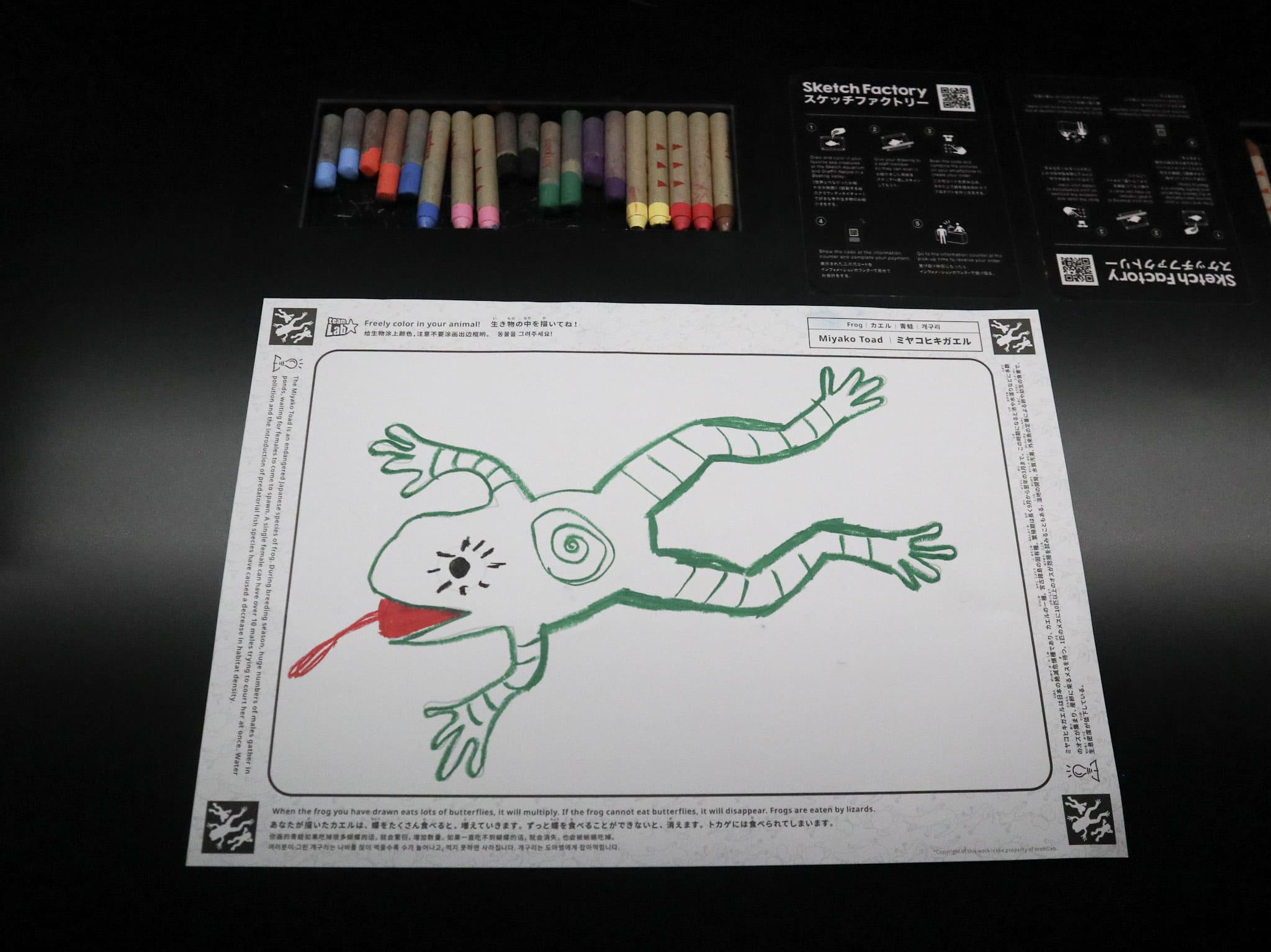 畫了一個青蛙,看起來有點俏皮