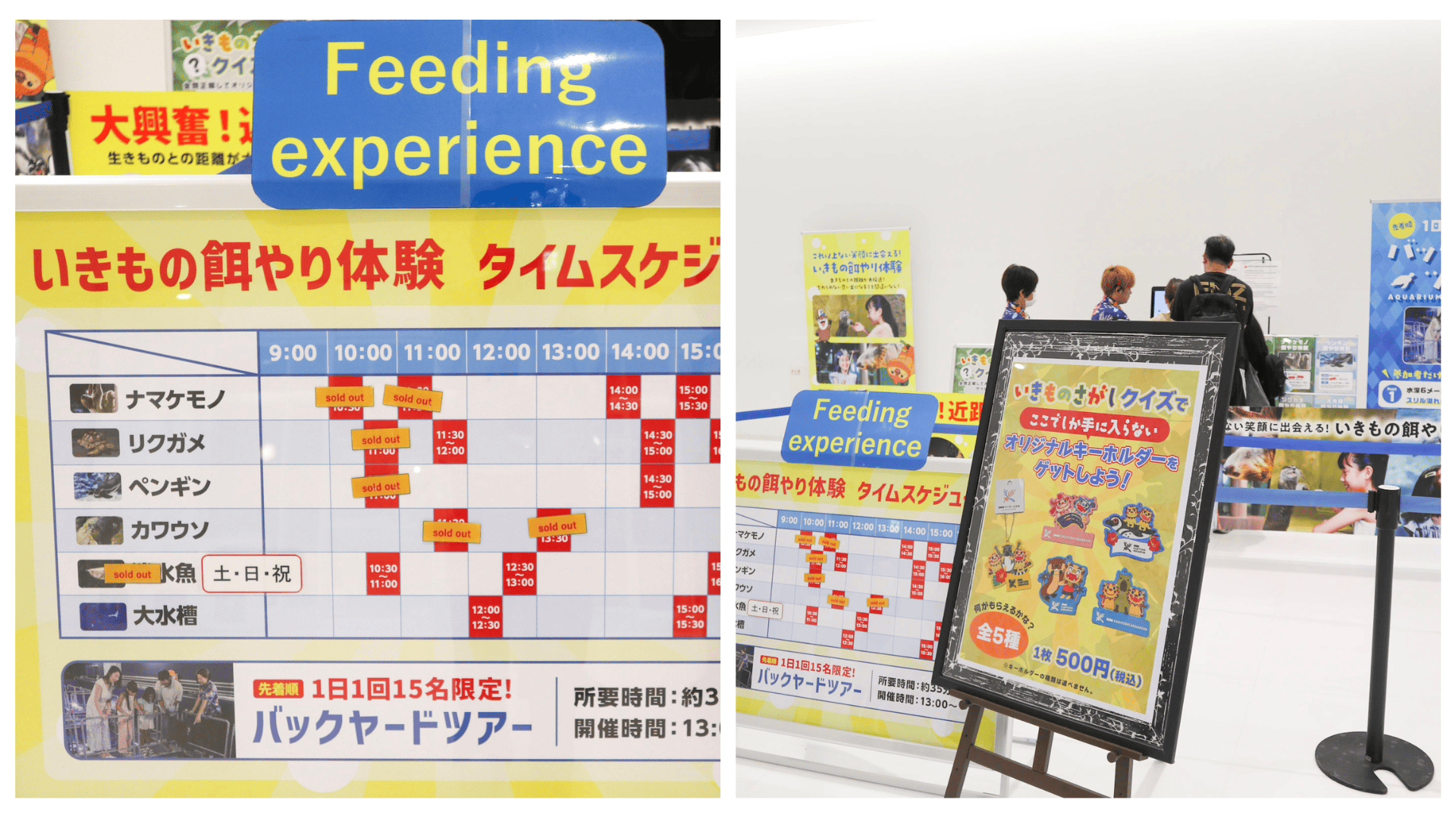 預約餵食體驗