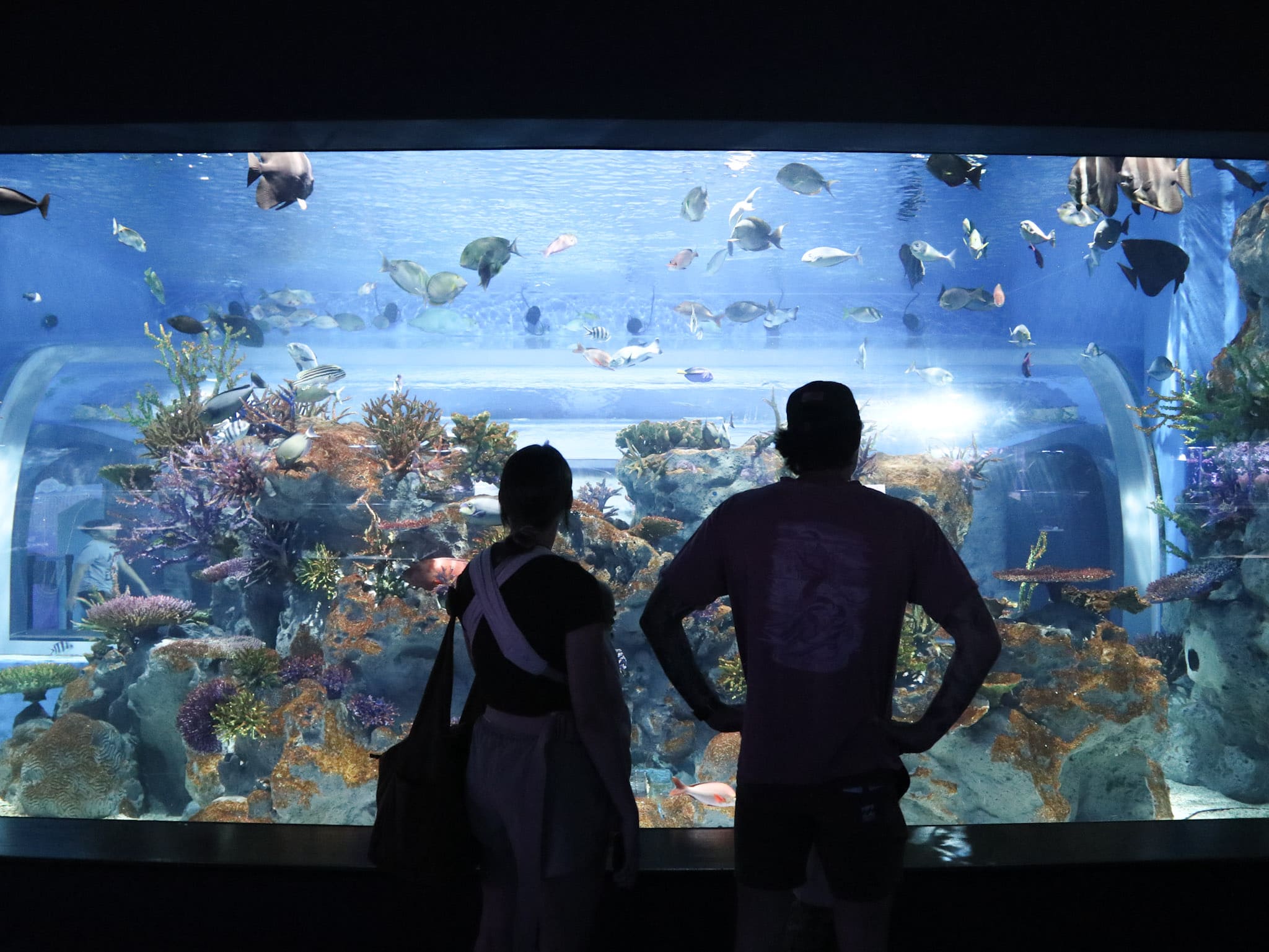 來DMM Kariyush水族館度過充實有趣的一天吧!