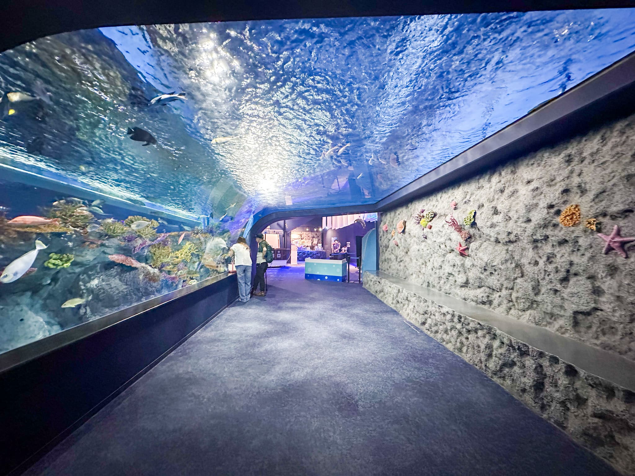 海底隧道