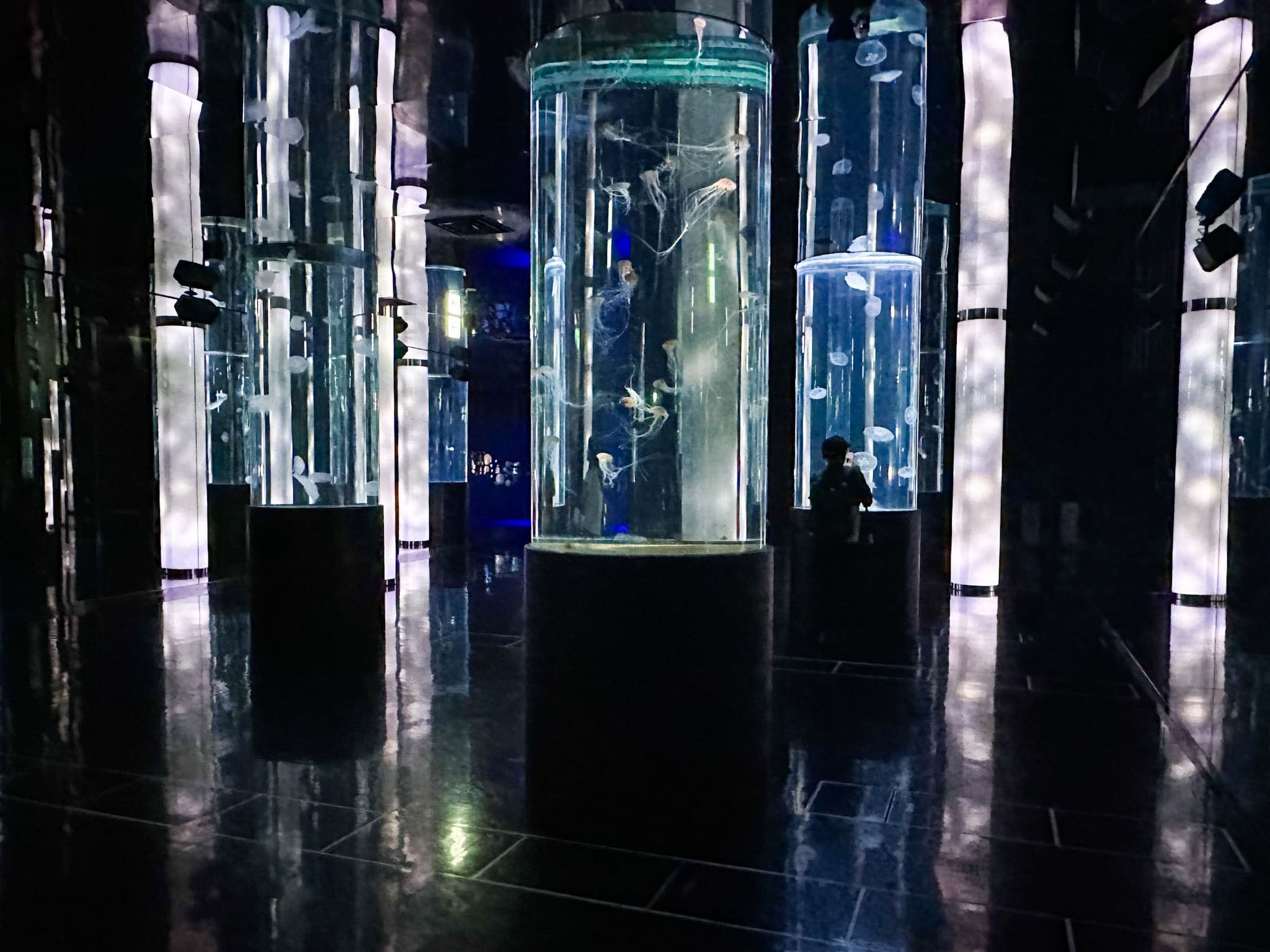 奇幻水母區
