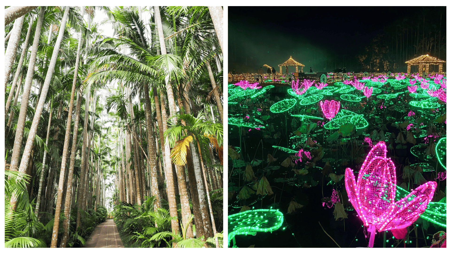 東南植物樂園有多達「1300 種以上」的熱帶植物、超過 50 種小動物