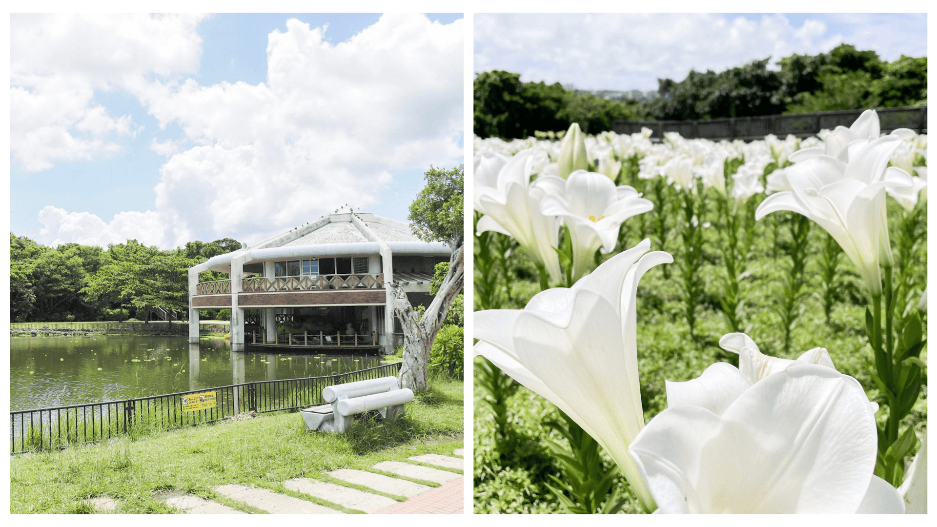 沖繩縣綜合運動公園裡面有田徑場、游泳池、球場、自行車道,還有 88 種以上的亞熱帶樹木環繞在周邊。
