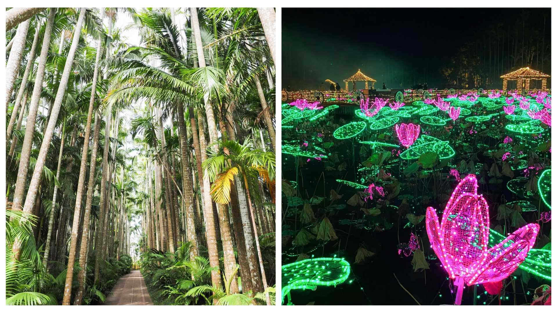 東南植物樂園有多達「1300 種以上」的熱帶植物、超過 50 種小動物