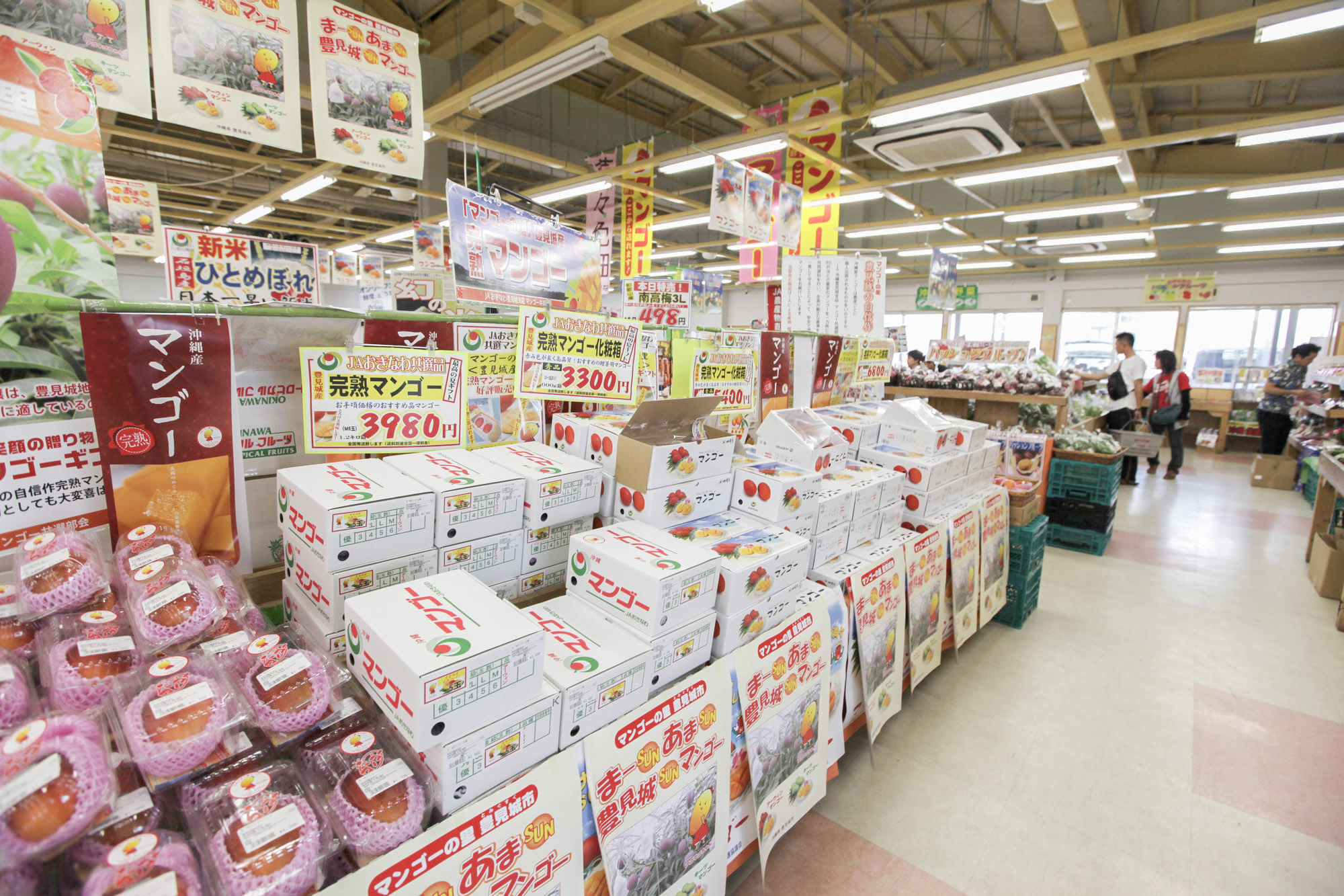 豐崎當地盛產的高品質「豐見城芒果」