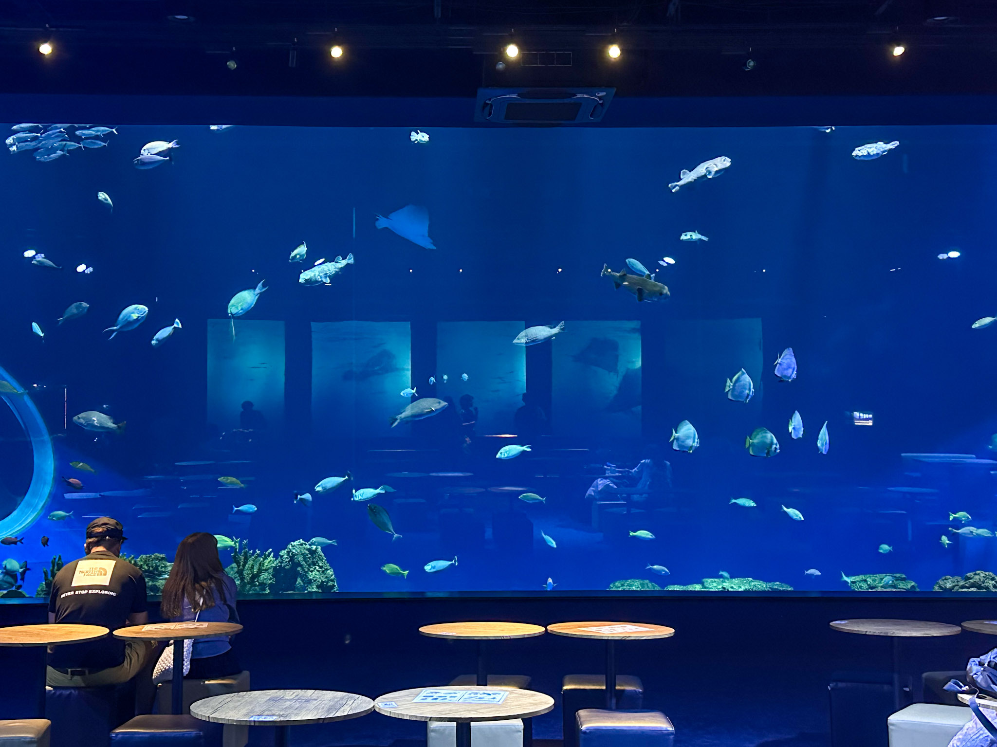 DMM Kariyushi 水族館的大水槽