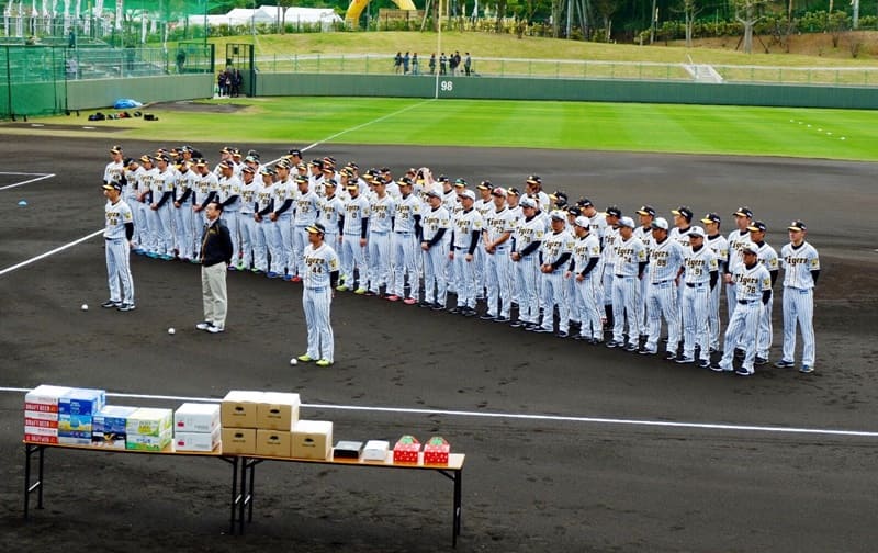 每年2月,日本職棒選手會來沖繩進行集訓